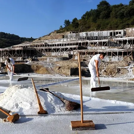 Musikarte Etxea * Estavillo