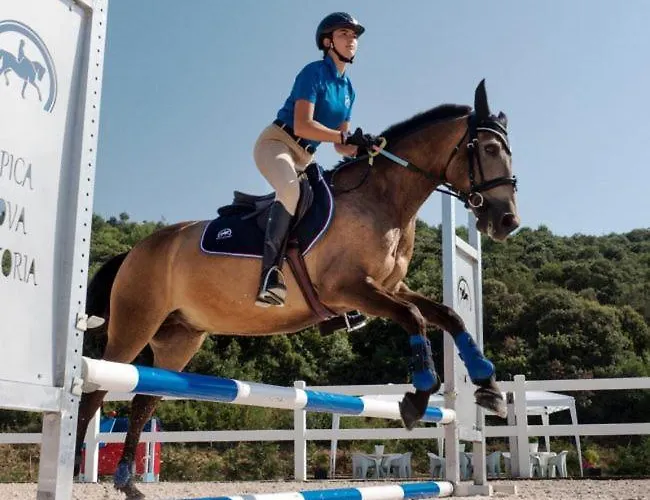 Musikarte Etxea Дом отдыха